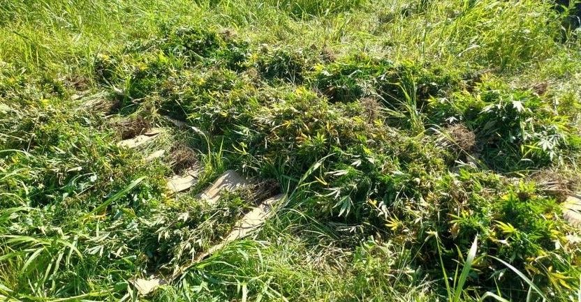 Nadležne policijske uprave nastavljaju rad na ovakvim i sličnim operacijama