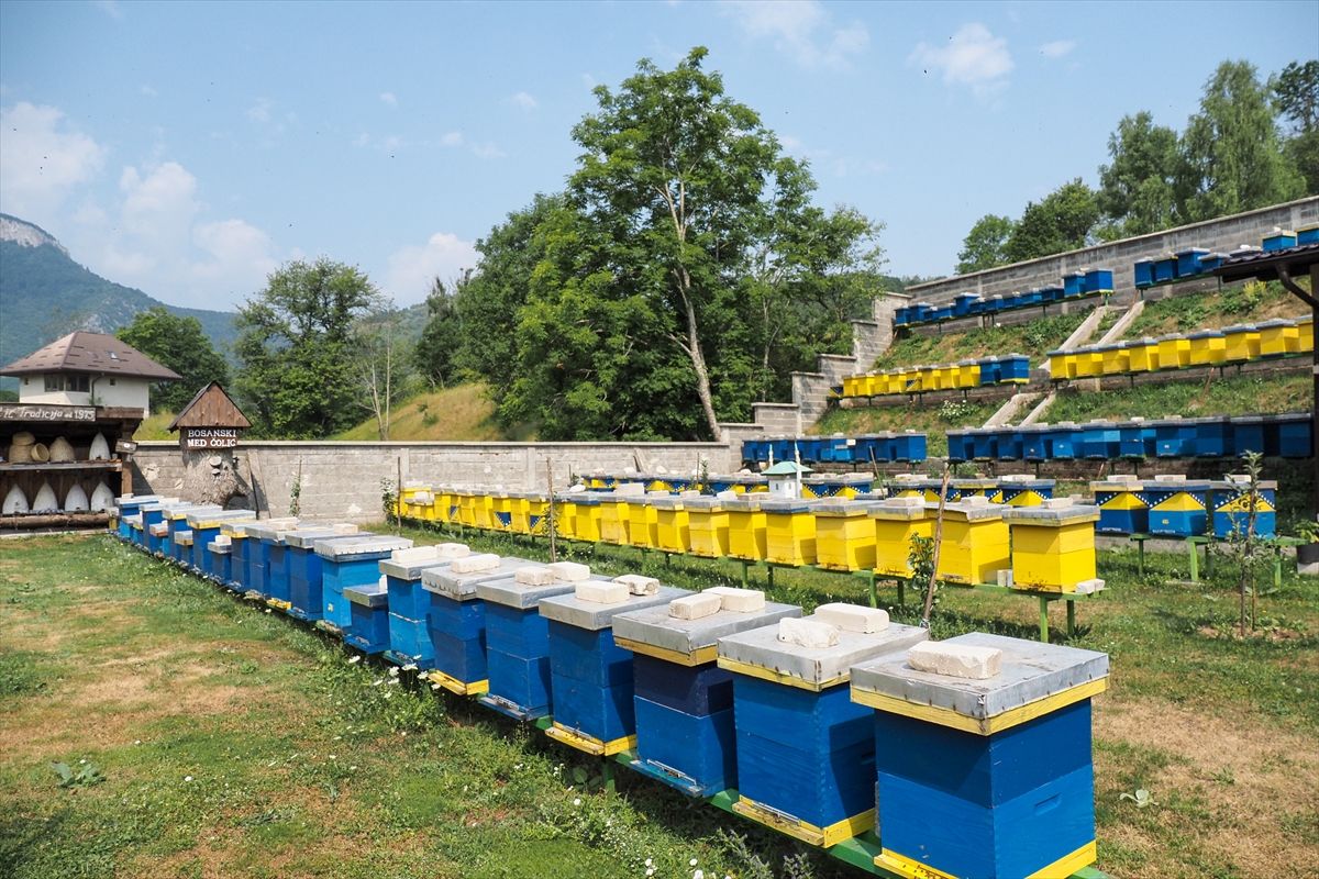 Trud, posvećenost i ljubav                                                                                                                           