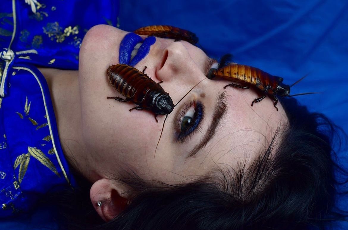 Za nju ne postoji strah: Emra uživa u radu sa zmijama i insektima! Govorila je za Hayat.ba