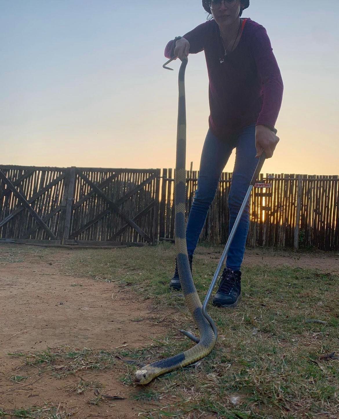 Za nju ne postoji strah: Emra uživa u radu sa zmijama i insektima! Govorila je za Hayat.ba