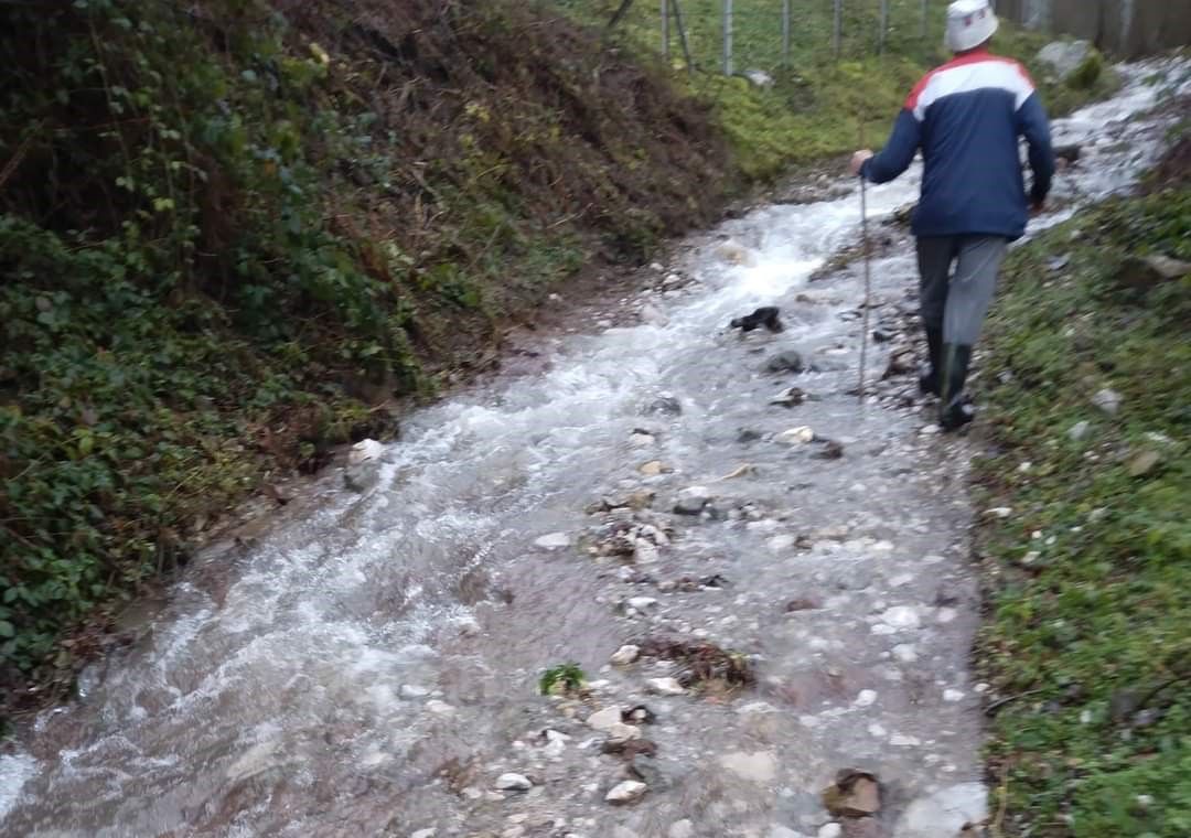 Povratnici i rasljene osobe u BiH - zakočeni na putu od Dejtona do EU