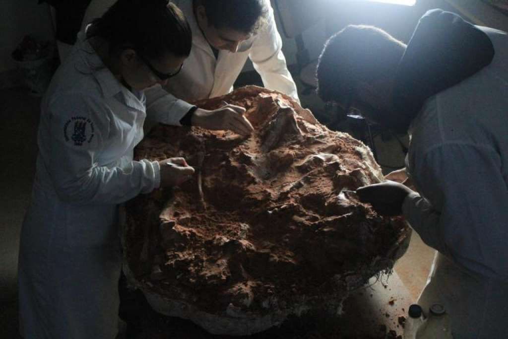 Tim paleontologa sa Federalnog univerziteta  Santa Maria proveo je četiri dana iskopavajući fosil 