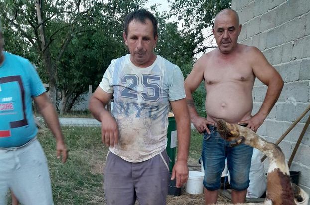 Mehdin Huseinović iz Glogove, opština Bratunac, živi život ispunjen nedaćama i iskušenjima. 

U borbi za opstanak, ovaj povratnik, poznat po svojoj čestitosti i upornosti, suočio s