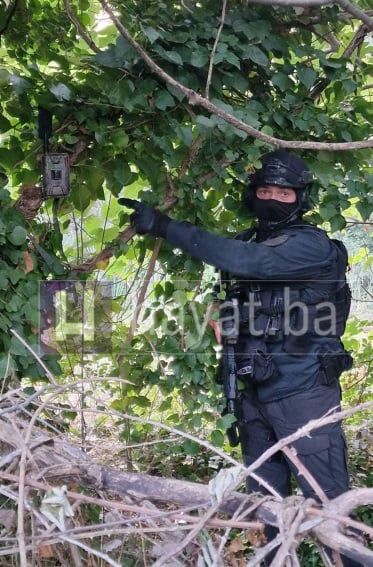 Munjevita akcija FUP-a: Specijalci upali na plantažu marihuane u Hercegovini