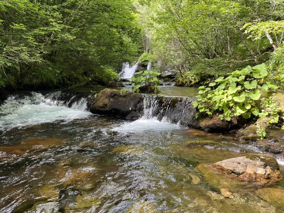 Istraživali smo: Prijeti li totalno uništenje Neretve?