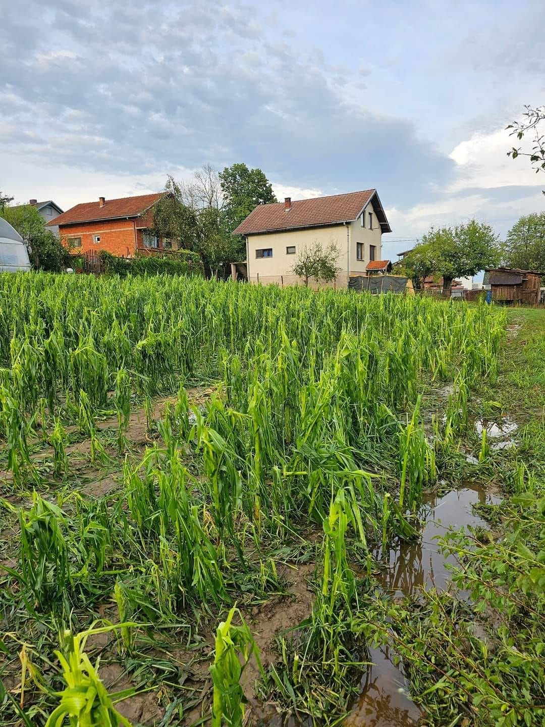 Nevrijeme poharalo dio BiH: Zastrašujuće fotografije!