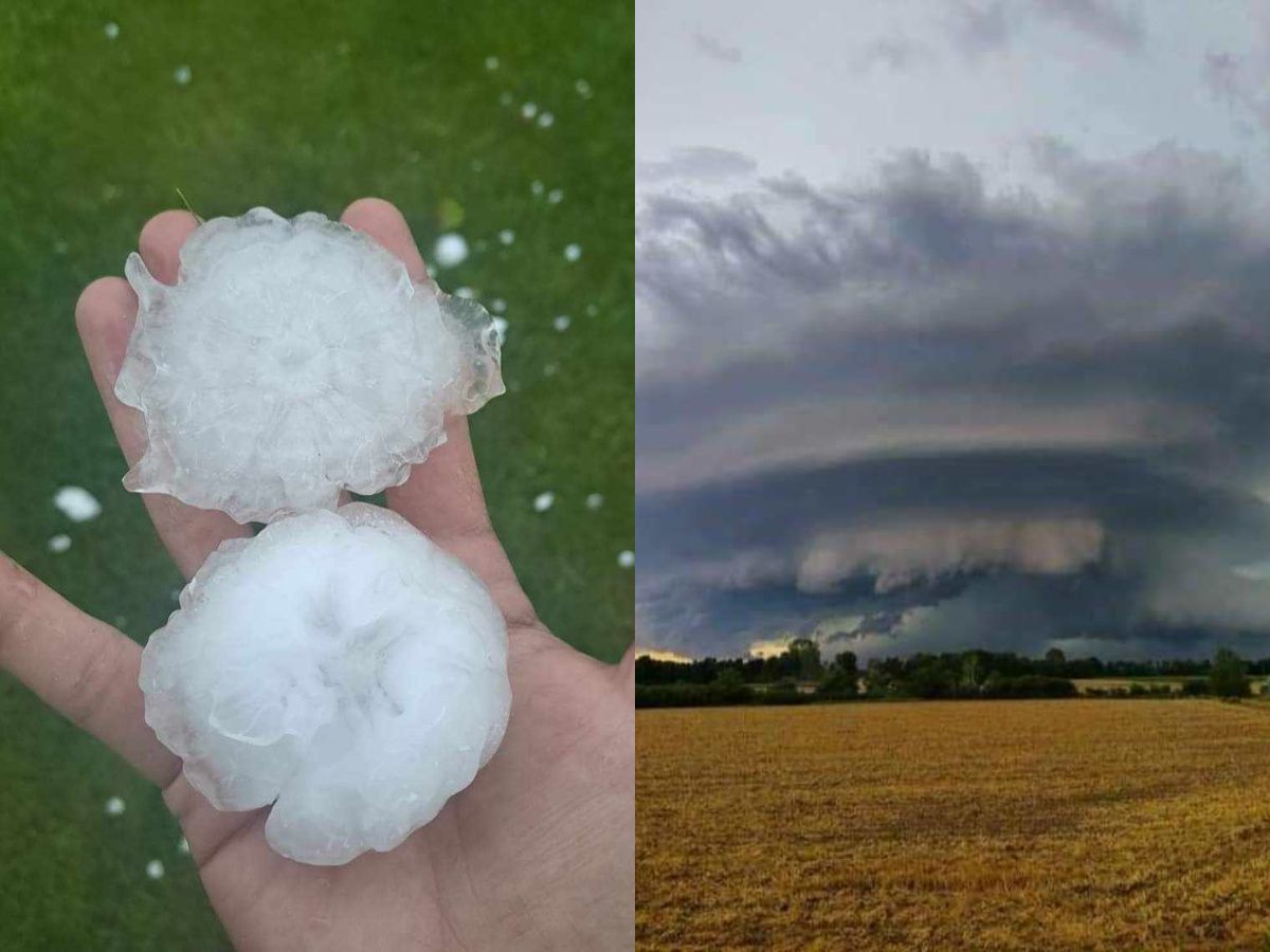 Ne tako daleko od nas                                                                                                                              
