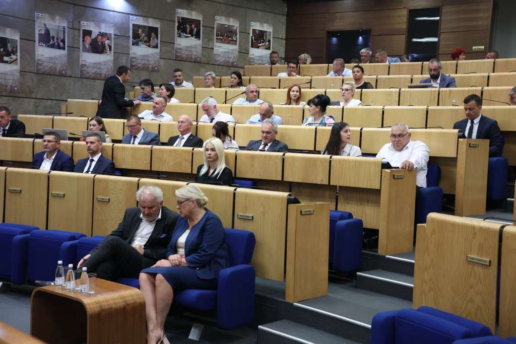 Zakonom se, pored ostalog, definira da dijete oboljelo od malignih bolesti ostvaruje pravo na dječiji dodatak bez obzira na prihode po članu porodice