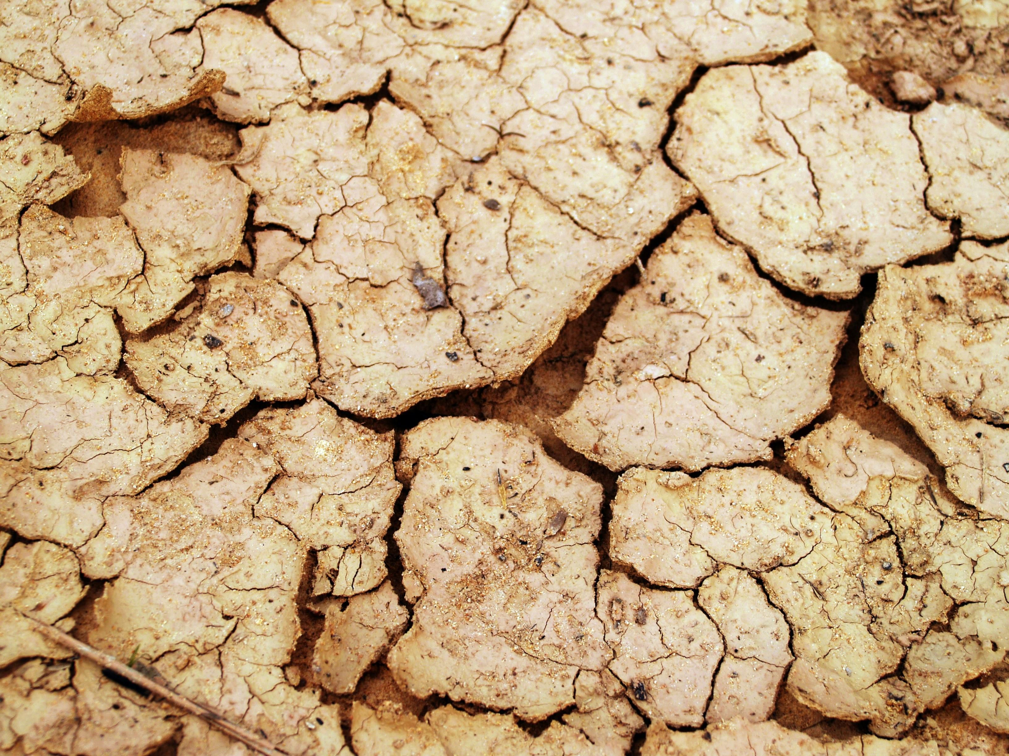Već sada u drugoj trećini klimatološkog ljeta problem u većem dijelu naše zemlje          
