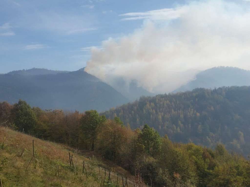 Za 24 sata vatrogasci su imali šest intervencija