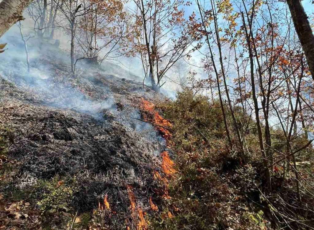Čuvari šuma u ovom periodu su dužni da poduzimaju pojačane preventivne i represivne mjere