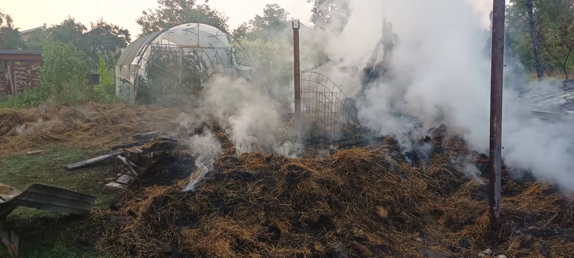 Plamen 'gutao' pomoćni objekat: Brzom reakcijom vatrogasaca lokalizovan požar u Brezi
