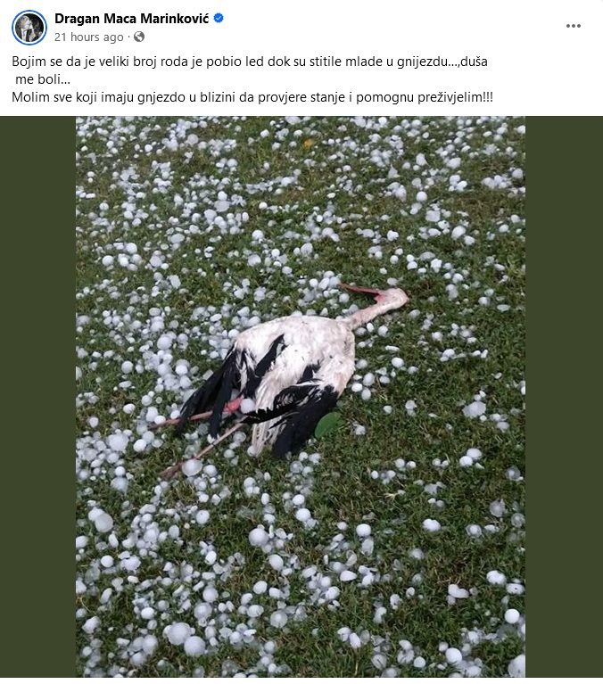 Dragan Marinković Maca objavio potresnu fotografiju: Duša me boli