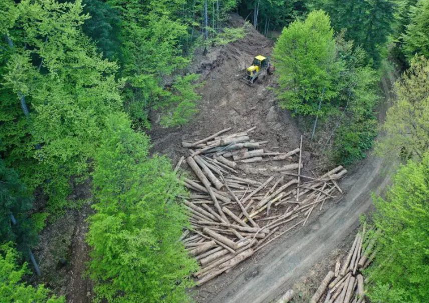 Ovo rješenje doneseno bez adekvatnog zakonskog okvira, s obzirom na to da Federacija BiH već petnaest godina nema usvojen Zakon o šumama