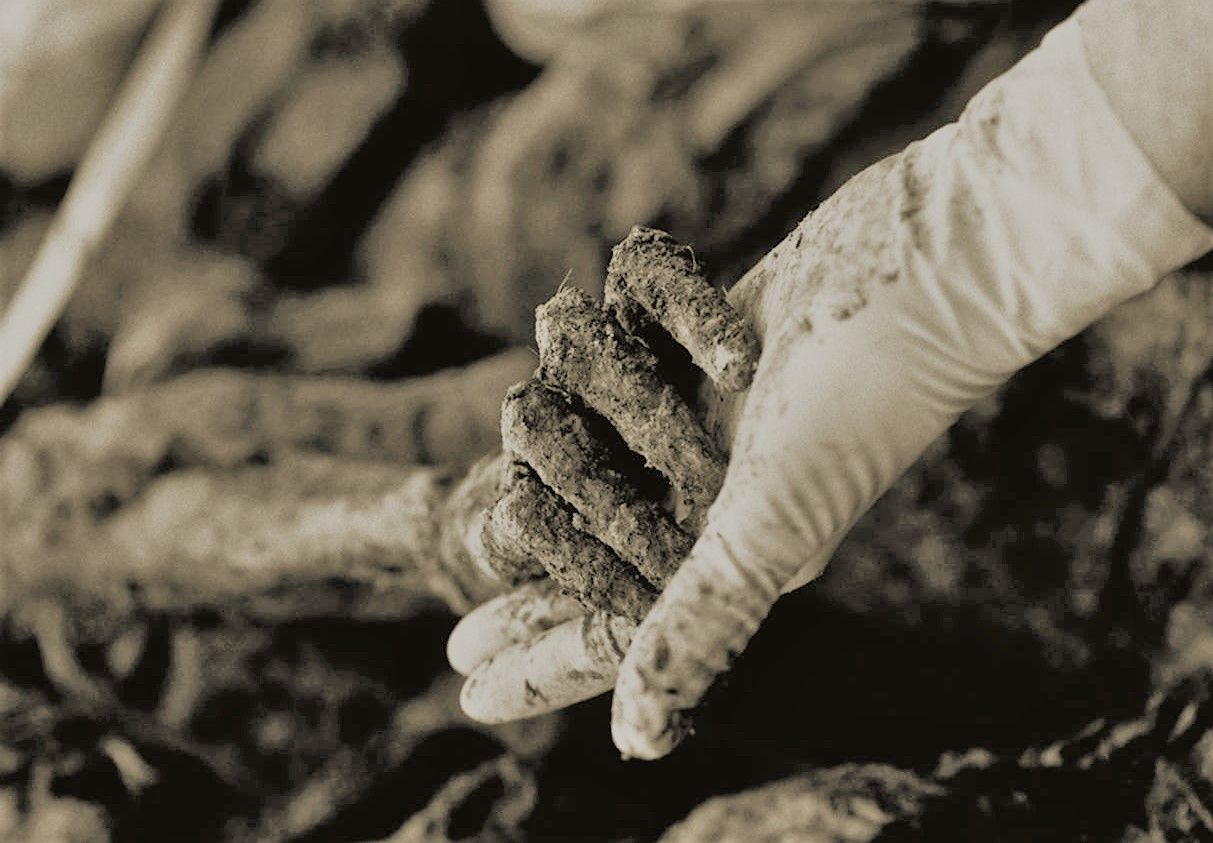 Priča o Srebrenici ne treba biti ispričana samo zbog Srebrenice. Čak ni zbog žrtava. Preživjeli Srebreničani ionako znaju sve krugove pakla kroz koje su prošli 