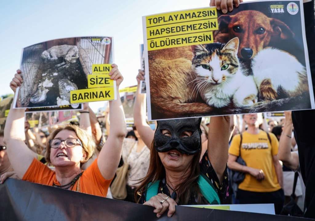 Zastupnici koji su bili protiv zakona nosili su bijele rukavice umrljane lažnom krvlju tokom rasprave