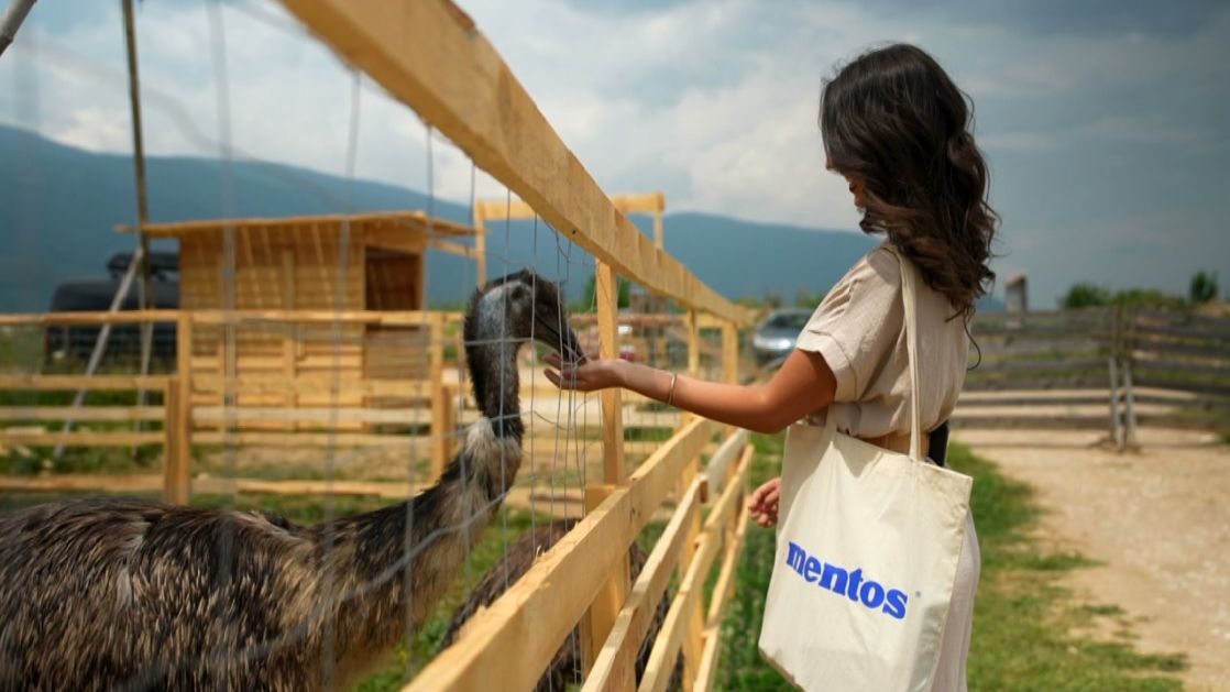Terapijsko jahanje i rijetke životinjske vrste u zoo-vrtu "Bambi" u Sarajevu