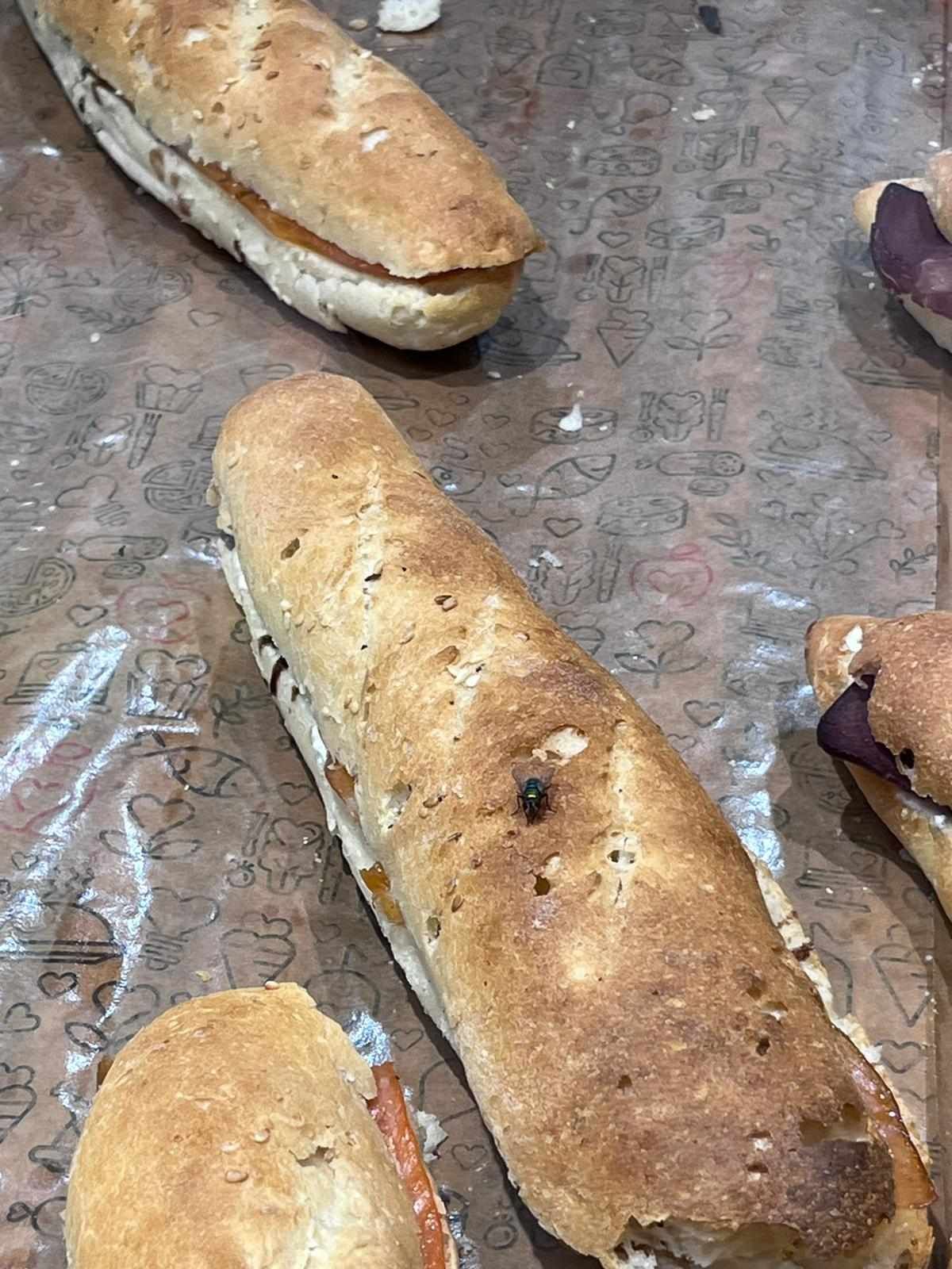 Kupci ogorčeni, šalju nam fotografije: Po sendvičima u Crvenoj Jabuci hodaju muhe!