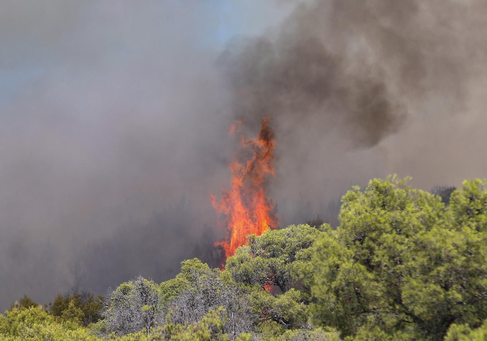 Na terenu su trenutno dva kanadera koja rade na natapanju, i 60 vatrogasaca je u dijelovima požara i rade sanaciju
