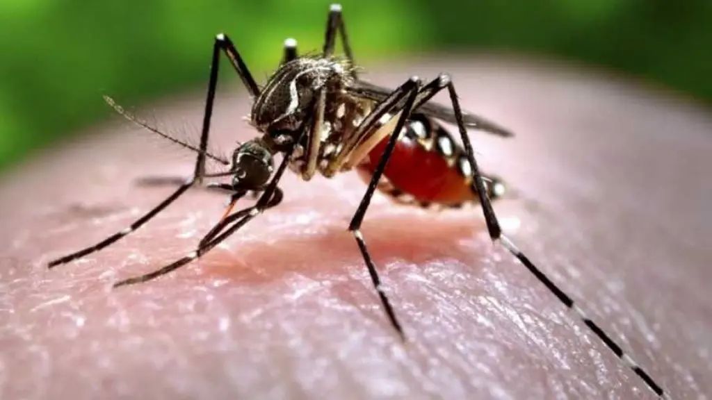 Prvi slučaj groznice Zapadnog Nila u humanoj populaciji, u ovoj sezoni je zabilježen 23. jula