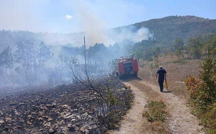 Komandir bilećkih vatrogasaca Milan Šulović izjavio je kako stanje na požarištima kod Bileće ovog jutra nije dobro te da vatrogasci nastavljaju borbu sa vatrenom stihijom