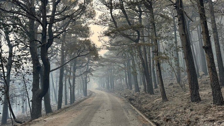 Sablasni prizori ogromne štete: Evo kako izgleda Park prirode Biokovo nakon požara