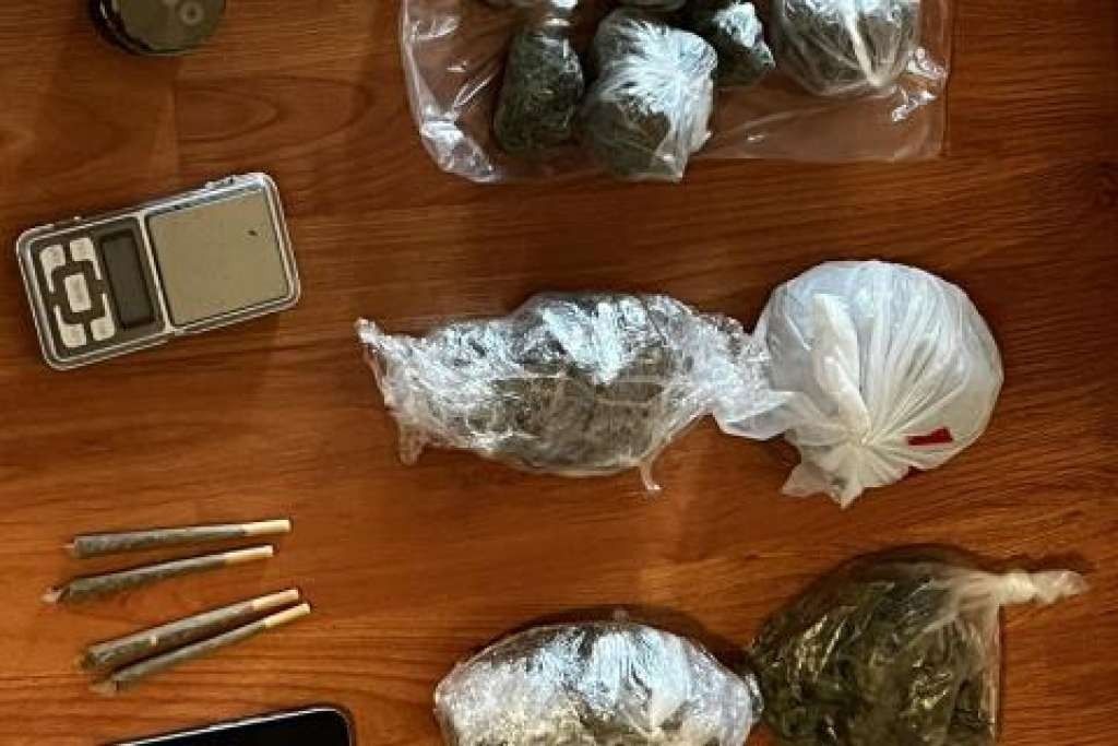 Uhapšen je 31-godišnji muškarac A.D. iz Sarajeva zbog osnova sumnje da je počinio krivično djelo neovlaštena proizvodnja i stavljanje u promet opojnih droga.