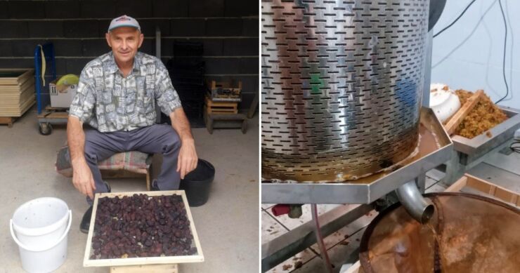 Za samo 500 kilograma sam našao zainteresirane kupce. Tu se javio onaj problem poljoprivrednika ‘šta ako’? Rodile ove godine šljive, plave se bašče, pa neće niko