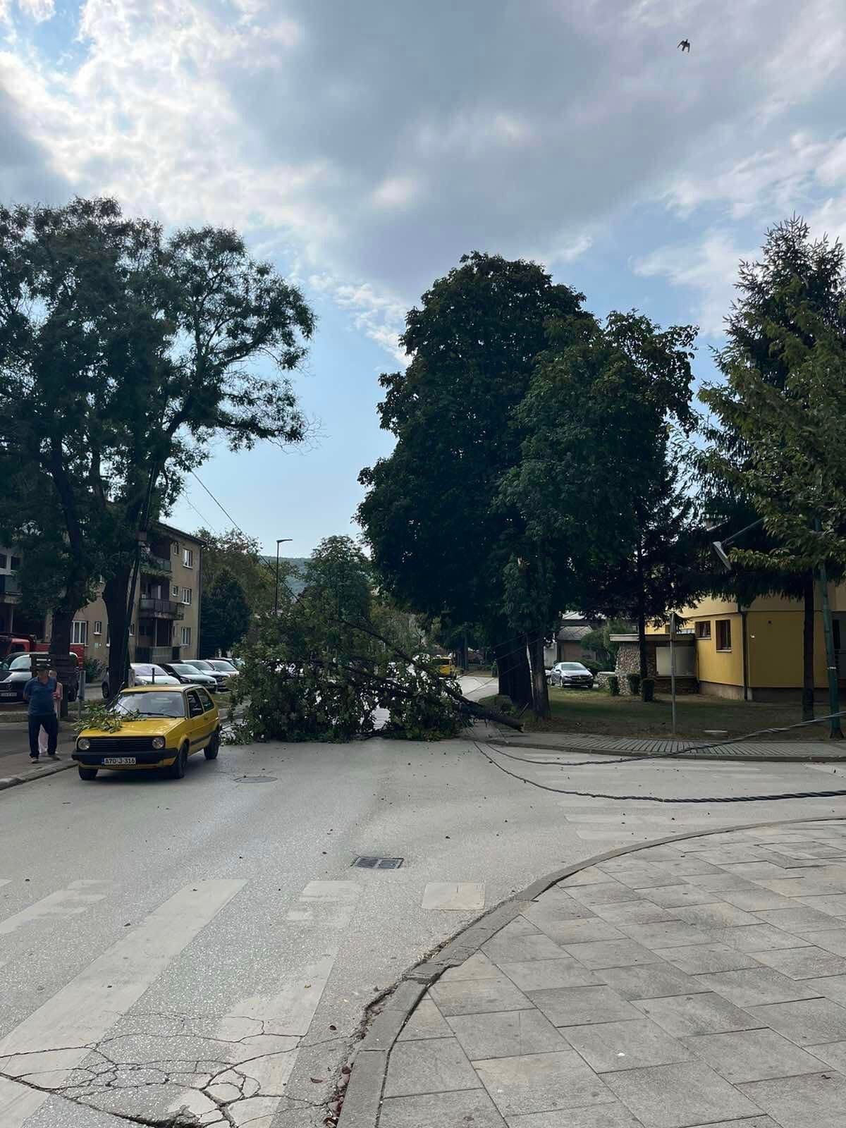 U Ilijašu vjetar polomio grane