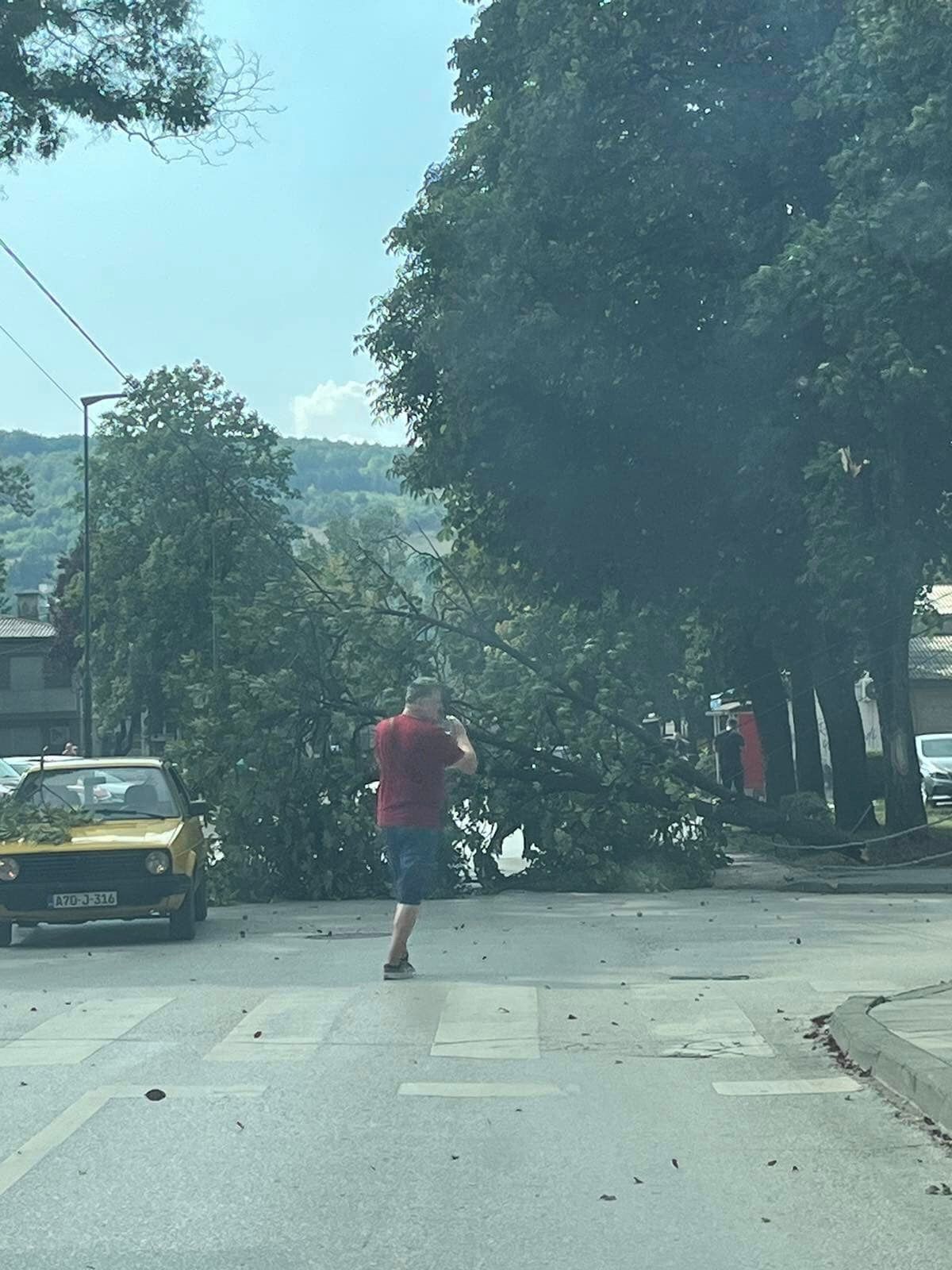 U Ilijašu vjetar polomio grane