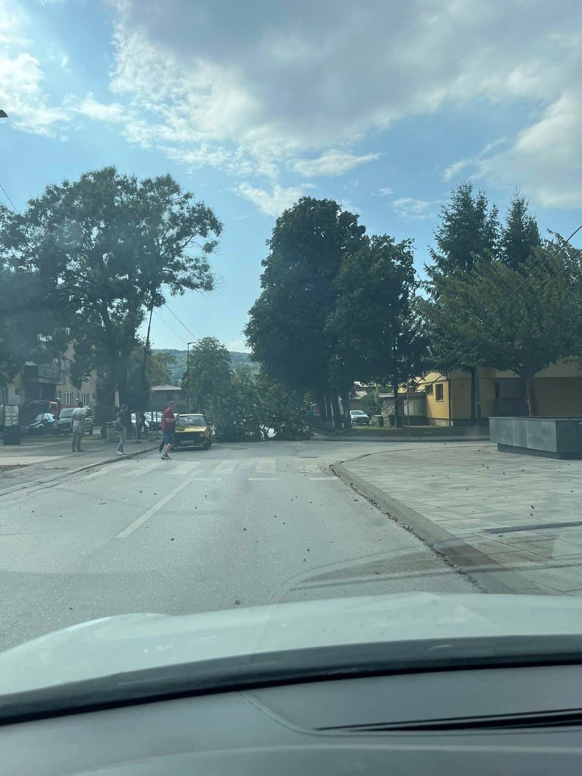 U Ilijašu vjetar polomio grane