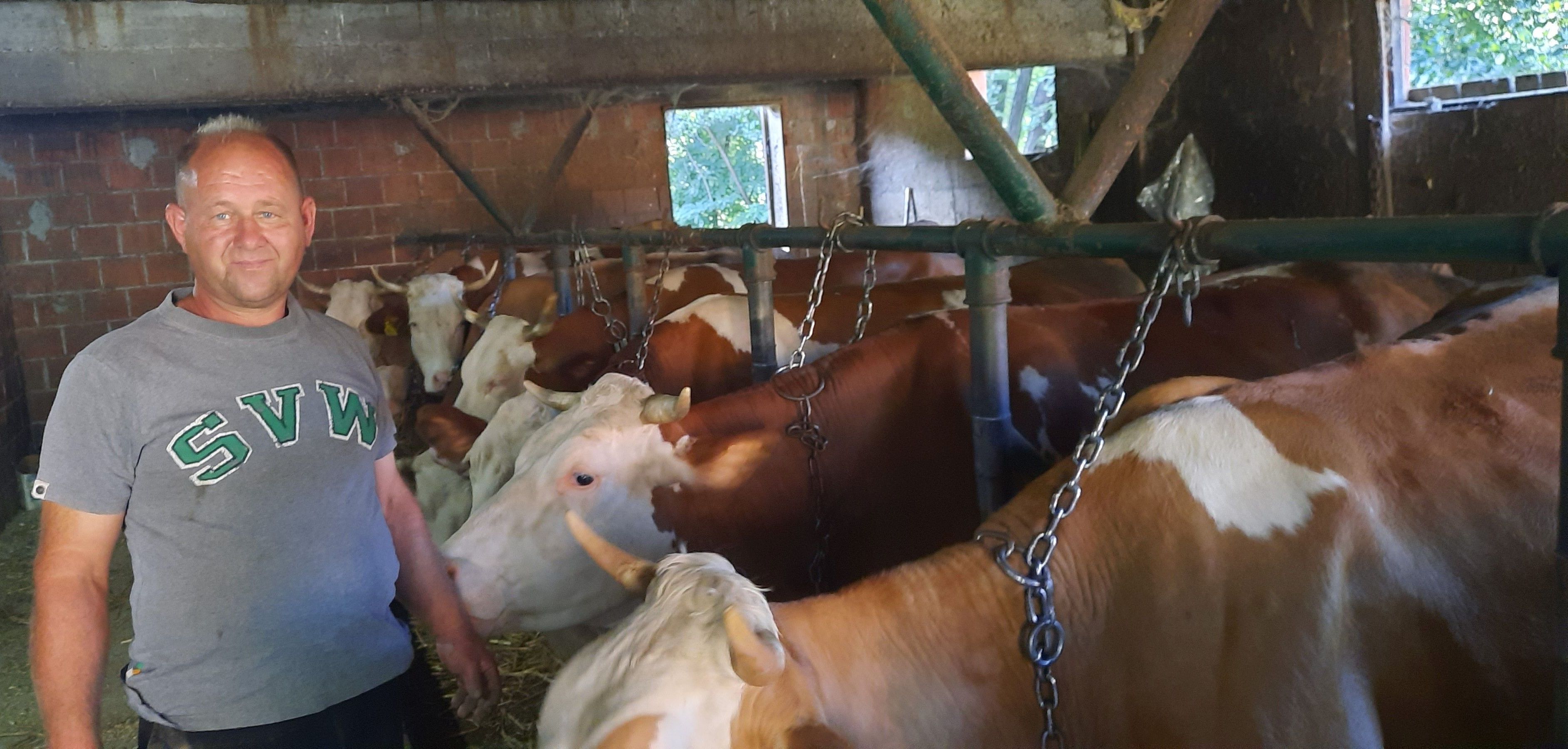 Muke za poljoprivrednike: Kukuruz se suši, farmerima se crno piše