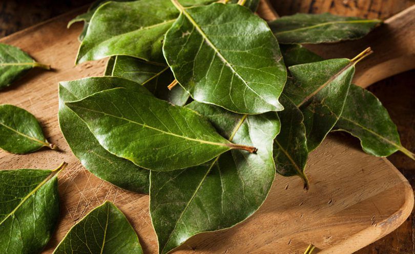 Lovorov list poznat je po svojim antibakterijskim i probavnim svojstvima, ali ima i smirujuće učinke na tijelo i um