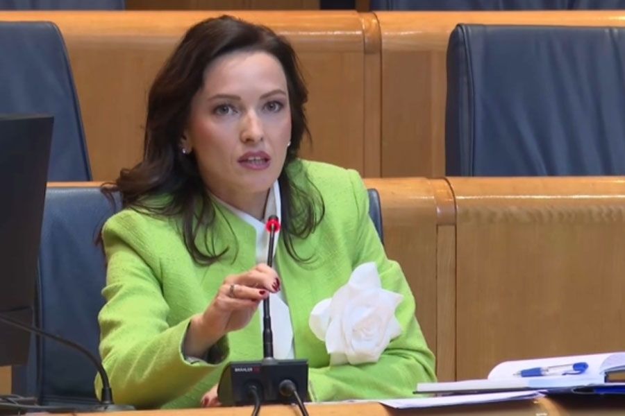 Optužbe stižu od njenog zamjenika, ali i ministra vanjskih poslova BiH