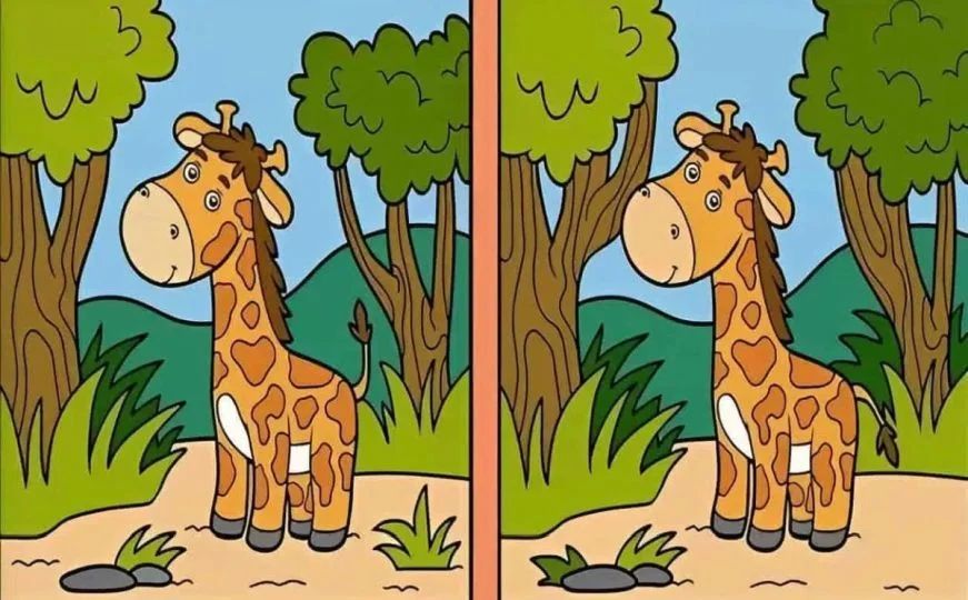 Pripremili smo jednu zanimljivu mozgalicu                                     