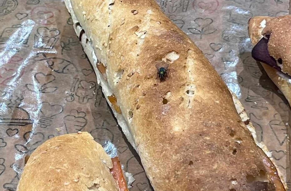 Na fotografijama se jasno vidi kako po pripremljenim sendvičima, pecivima, ali i gotovim jelima hodaju muhe