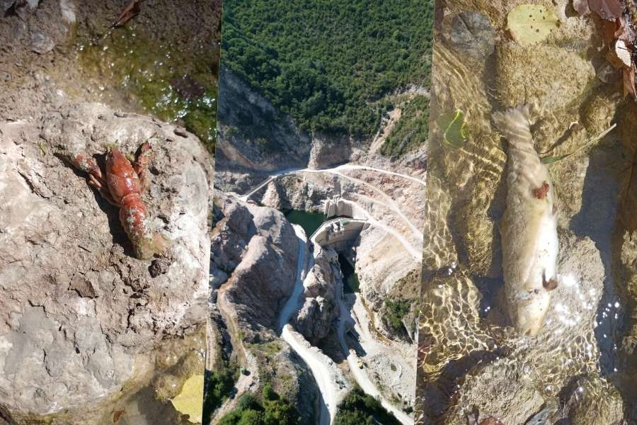 Uništavamo stihijski godinama prirodna bogastva Bosne i Hercegovine, šume, rijeke, planine. Jaki smo na priči, čudimo se grandioznim objektima po Trebeviću, Bjelašnici...