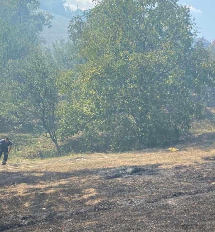 Izlaskom na mjesto događaja dežurni ljekar Doma zdravlja Tuzla konstatovao je smrt stradale ženske osobe.