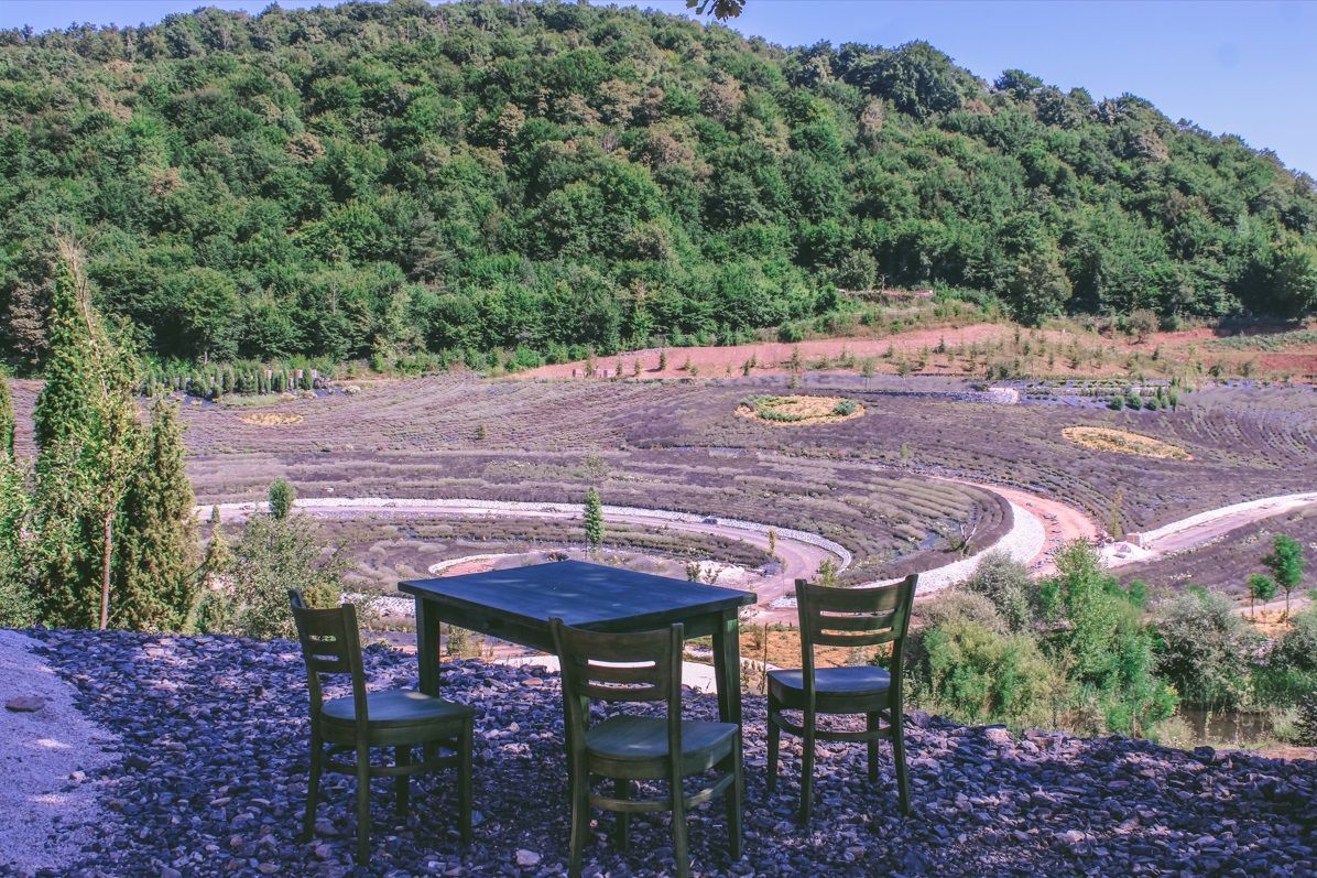 Na površini od 70 hekara izrađen je park sličan djelu 'Zvjezdana noć' od lavande i drugih biljaka