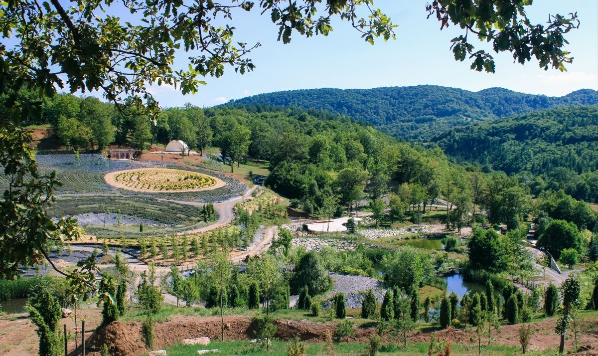 Na površini od 70 hekara izrađen je park sličan djelu 'Zvjezdana noć' od lavande i drugih biljaka