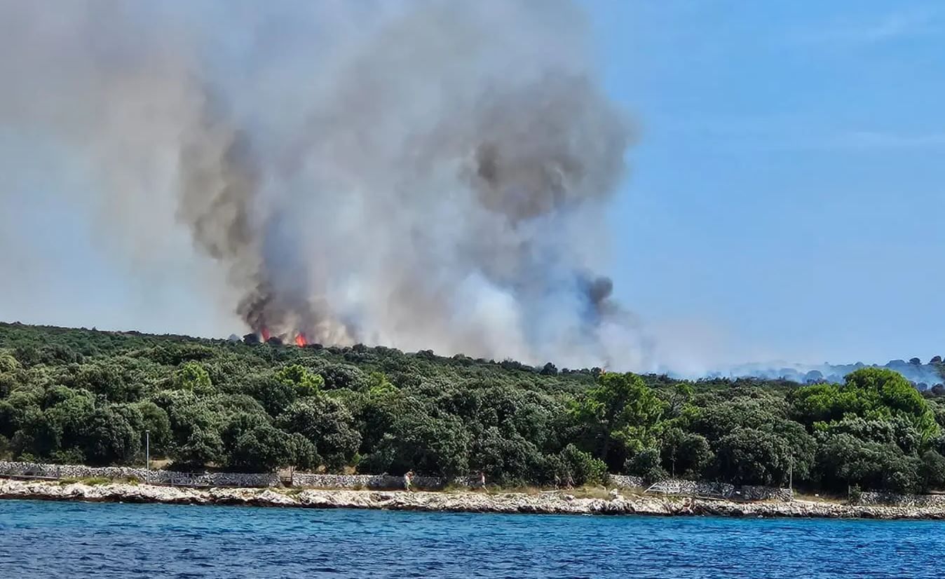 Radi se o požaru otvorenog prostora, gori šuma hrasta crnike i makija