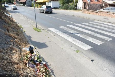 Uslijed udara, Aleksandar M. je zadobio teške tjelesne povrede opasne po život od kojih je odmah nastupila njegova smrt