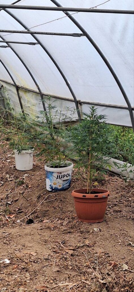 Akcija Storm u Sarajevu: Zaplijenjena droga, jedna osoba uhapšena