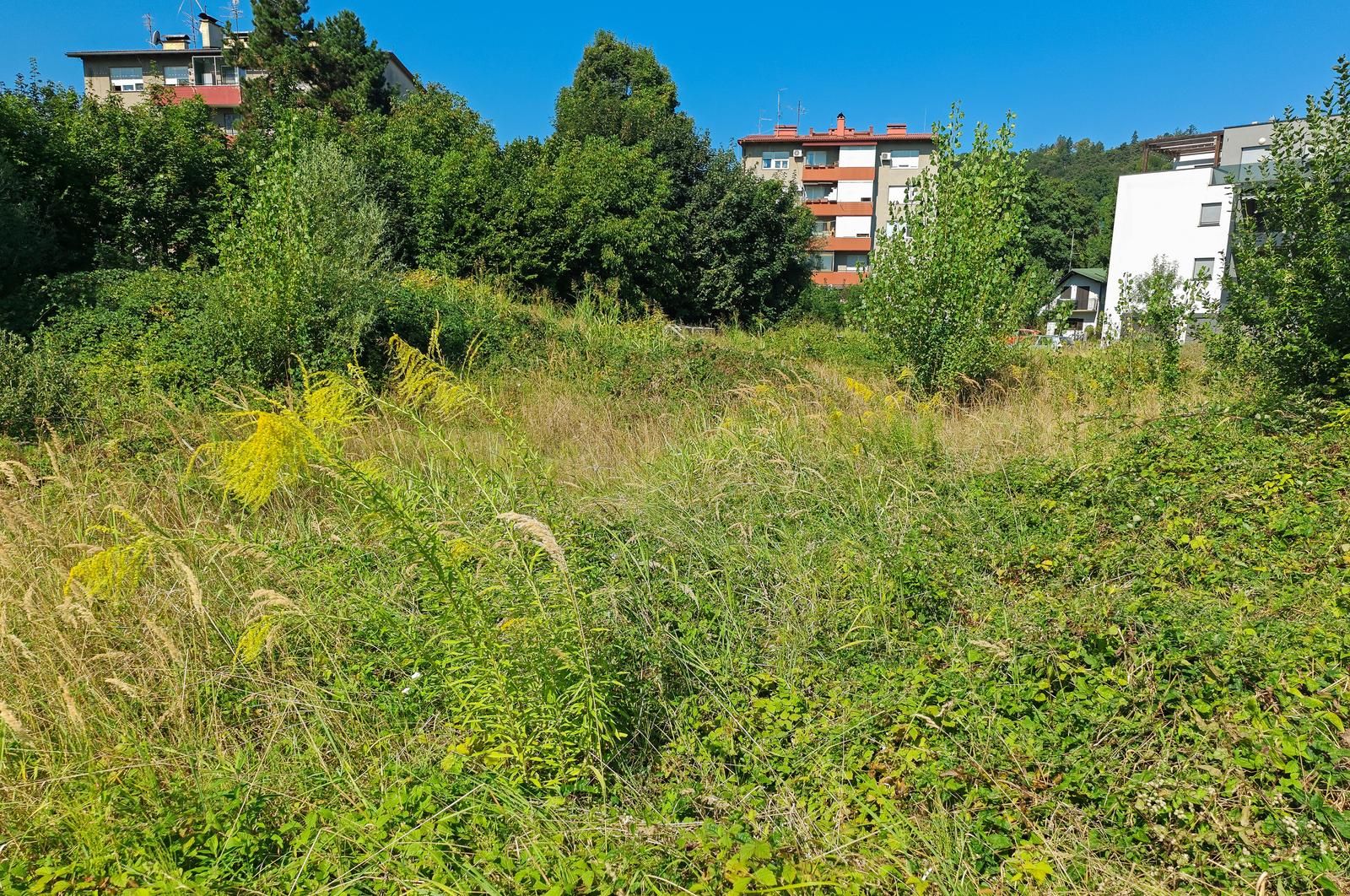 Posljednjih dana zabilježen je trend rasta polena korova i postepeno smanjenje polena trava 