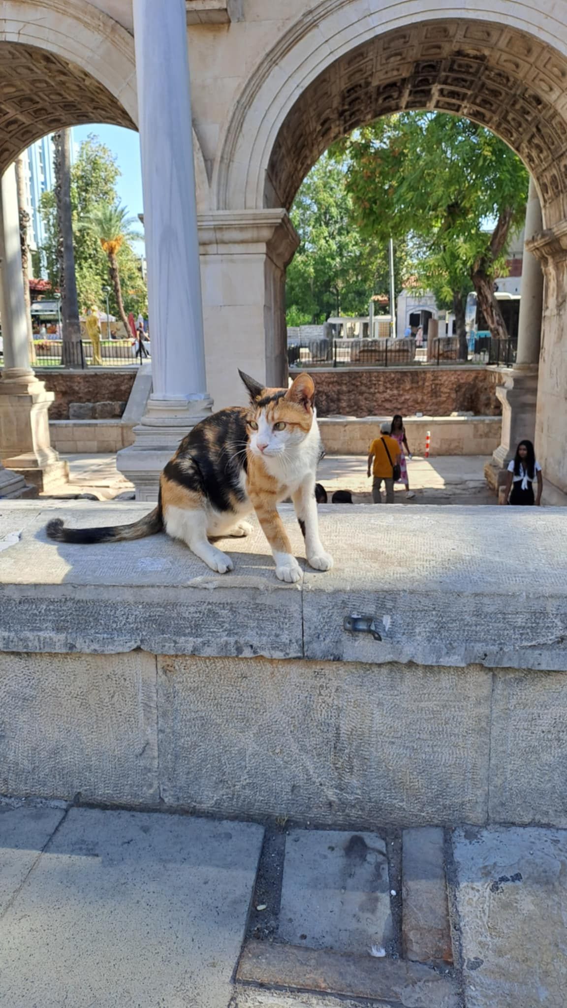 Hayat.ba u Turskoj: Antalya više od ljetovališta