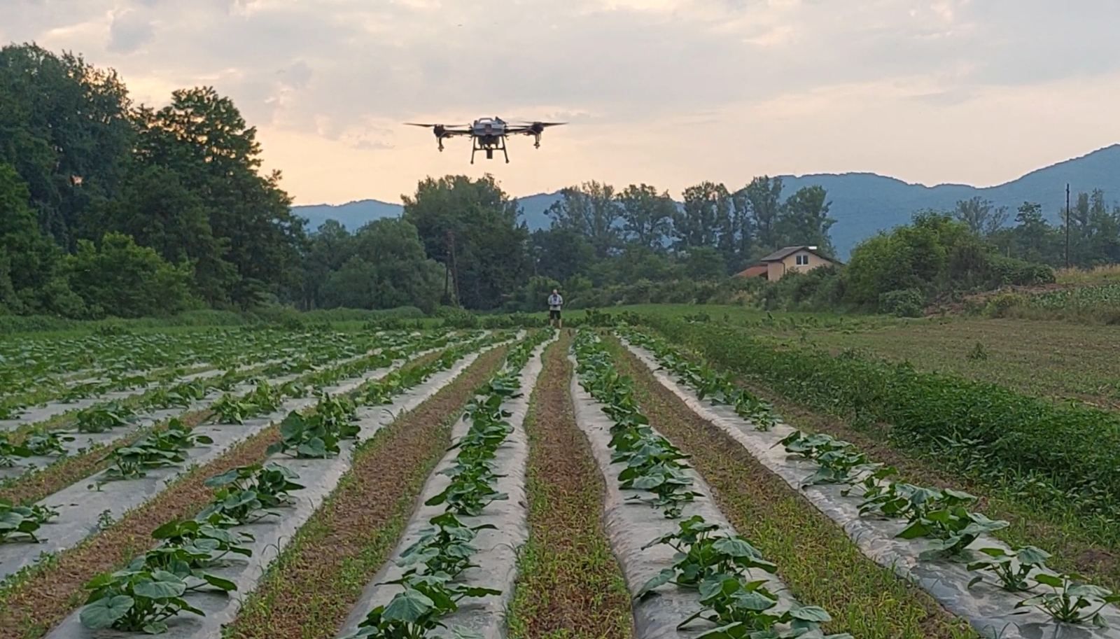 Reper Dr. Zo sa kolegom Smajićem uvodi robote s umjetnom inteligencijom u poljoprivredu