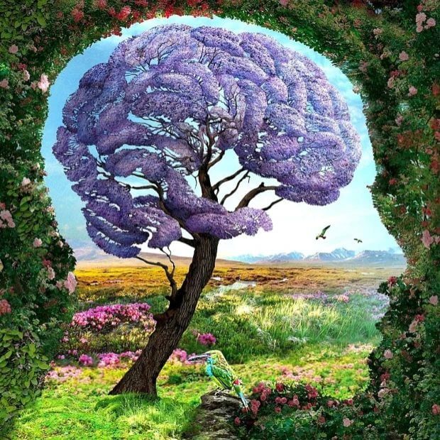 Prva stvar koju vidite otkrit će vašu najveću grešku u vezi: Drvo, ptice ili silueta?