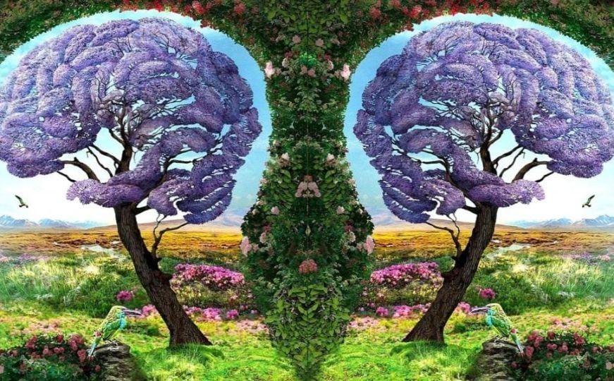 Iako je teško promijeniti navike, prva stvar koju treba napraviti jest prepoznati loše navike