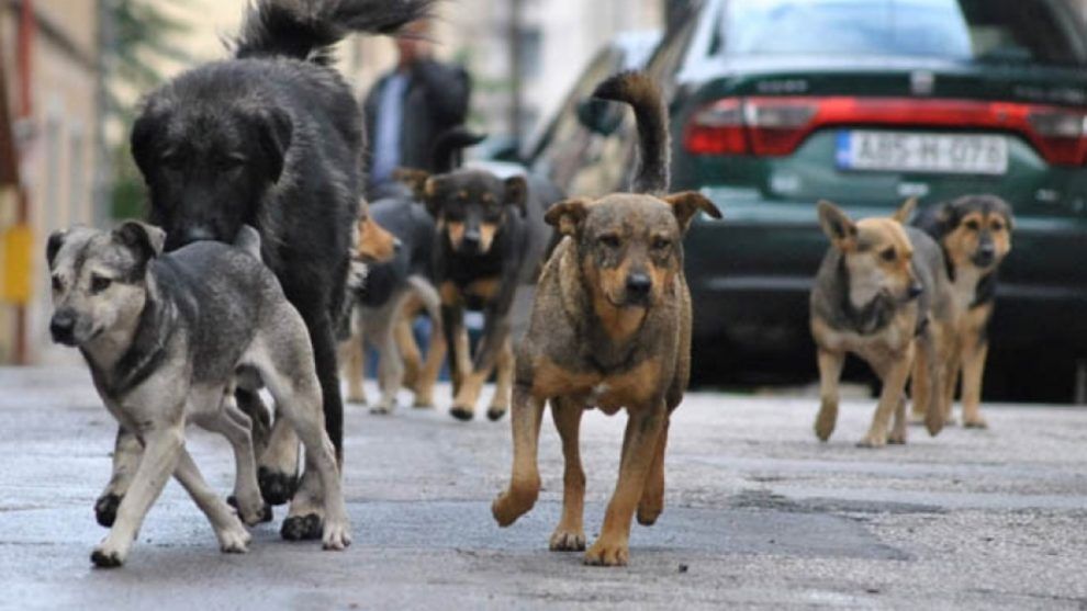 Dijete je zadobilo povrede desne natkoljenice, pružena mu je pomoć u Hitnoj pomoći