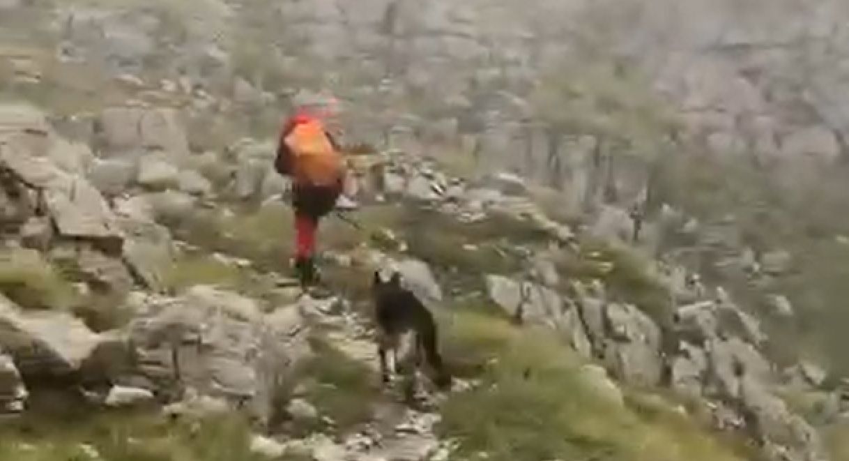 Muškarac je starije dobi, slabo opremljen za planinske uslove i nema nikakvih informacija o njegovom trenutnom fizičkom i zdravstvenom stanju, naglasili su